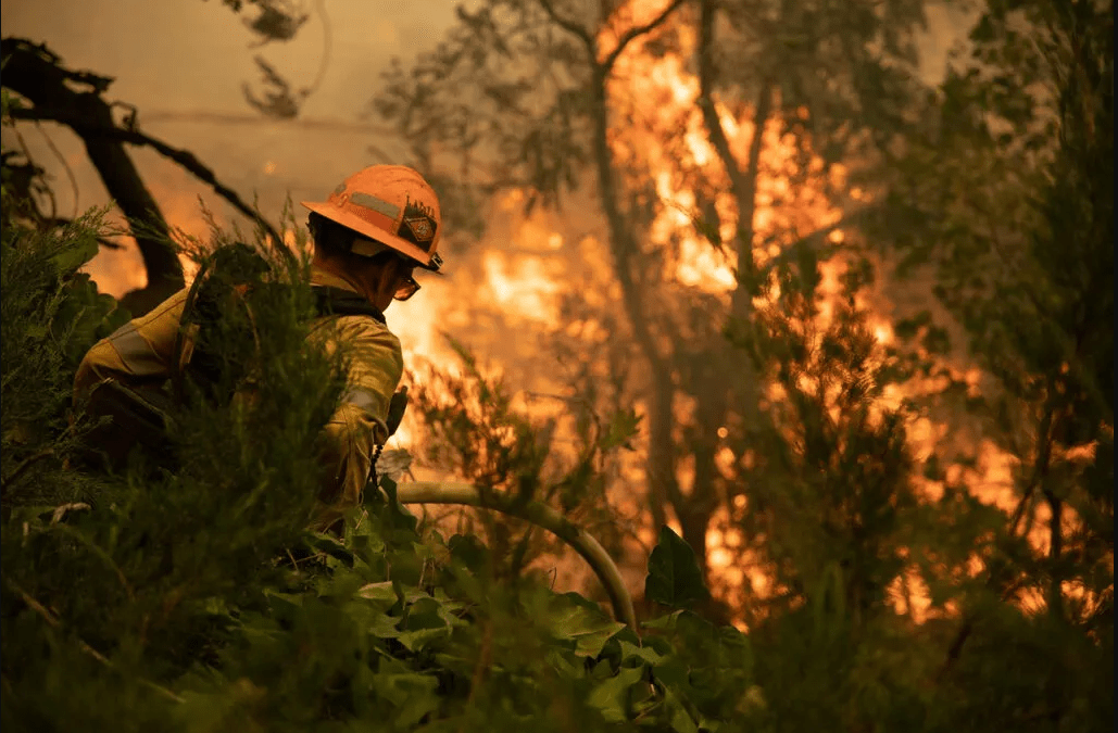 California WIldfire